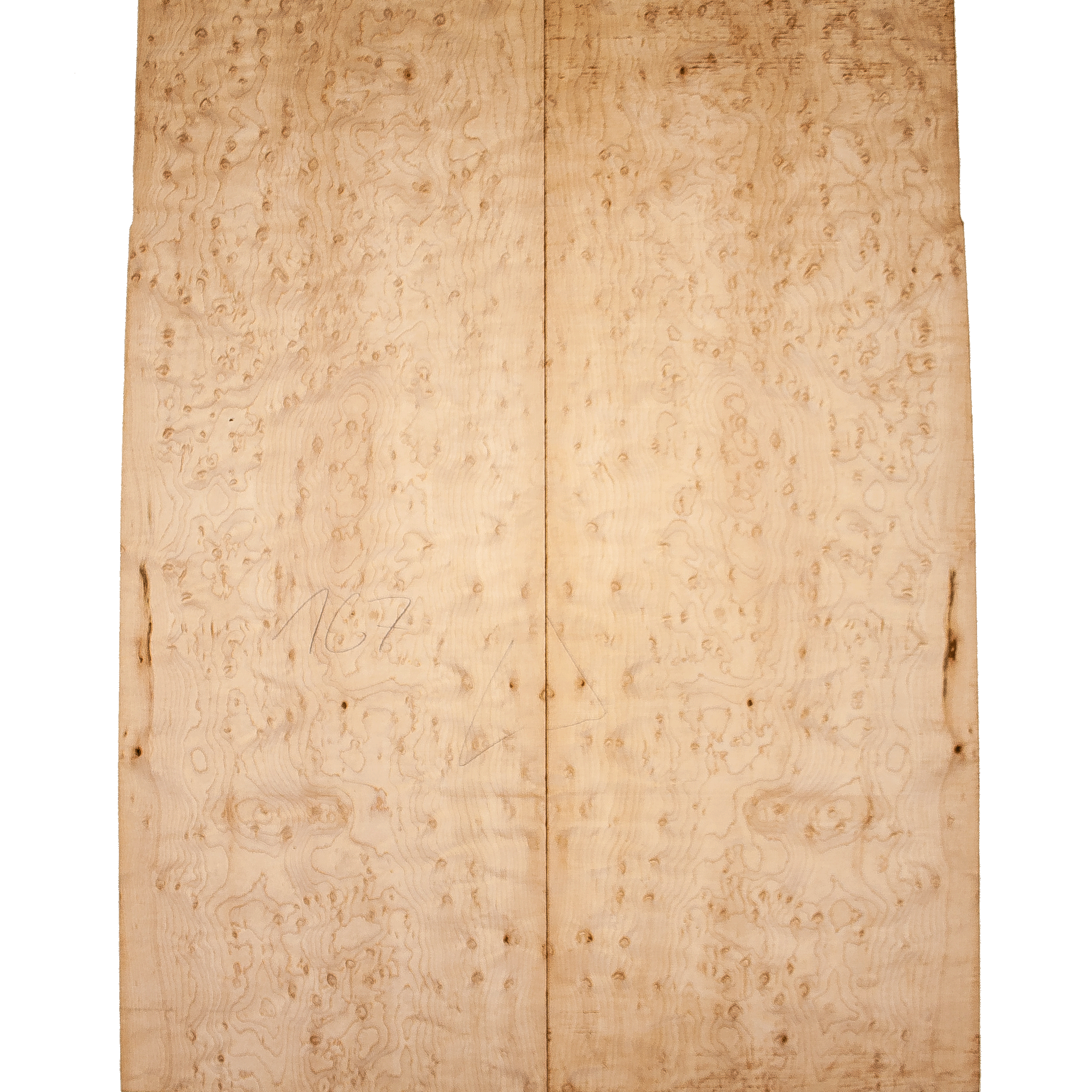 Bird's eye maple